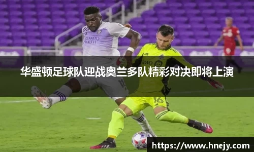 智博19有限公司