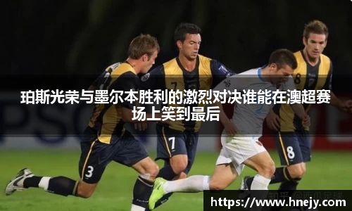 智博19有限公司